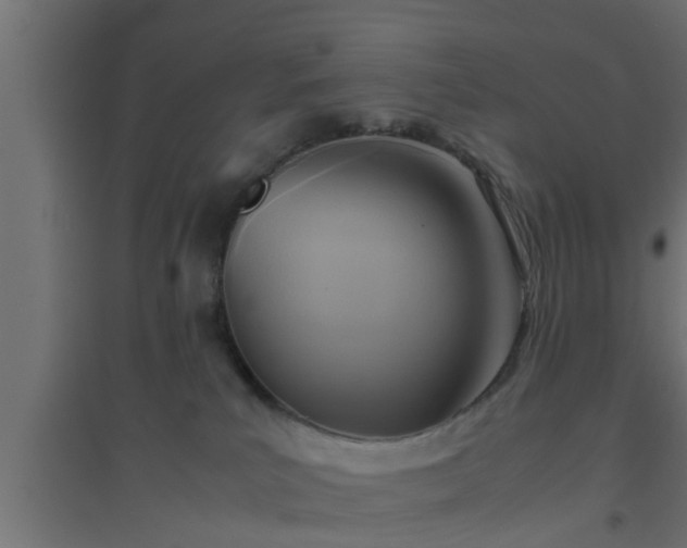 X0000094800039200711241433