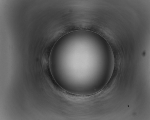 X0000094800040200711241433