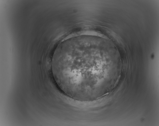 X0000094800043200711241433