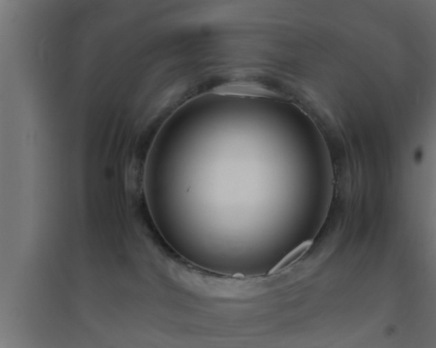 X0000094800044200711241433