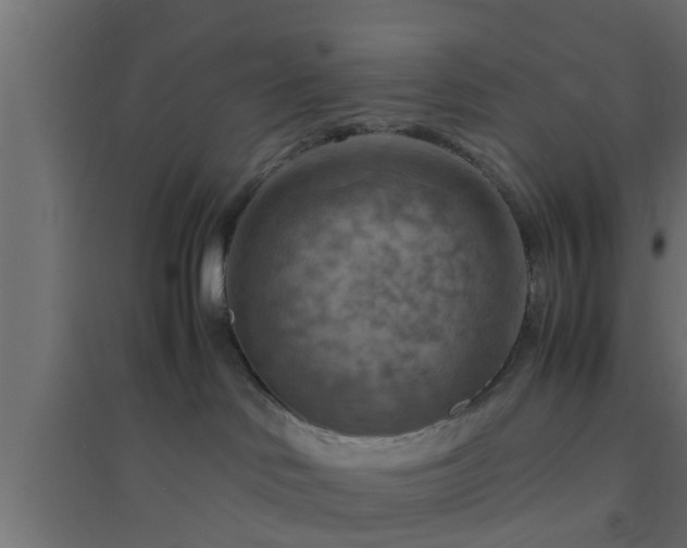X0000094800046200711241433