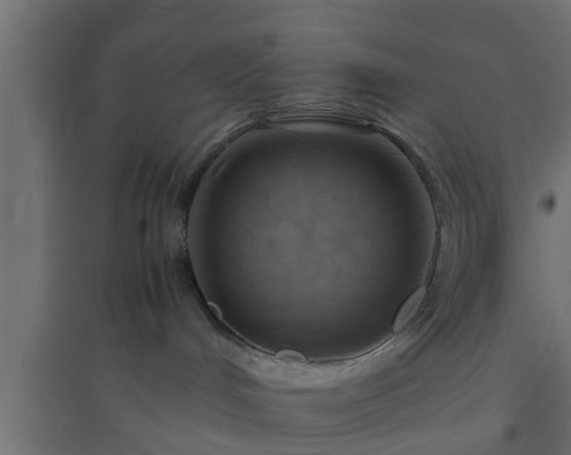 X0000094800048200711241433