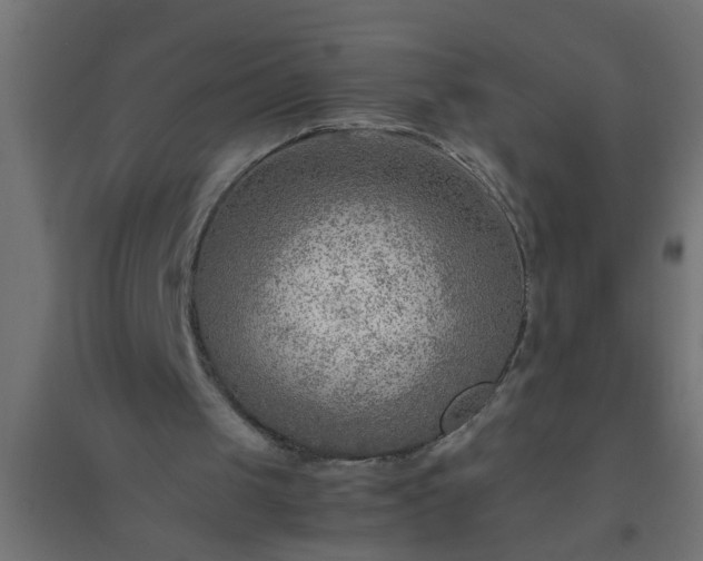 X0000094800049200711241432