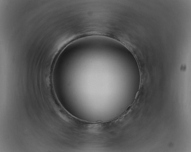 X0000094800050200711241432
