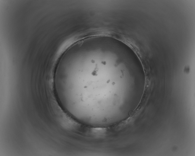 X0000094800053200711241432