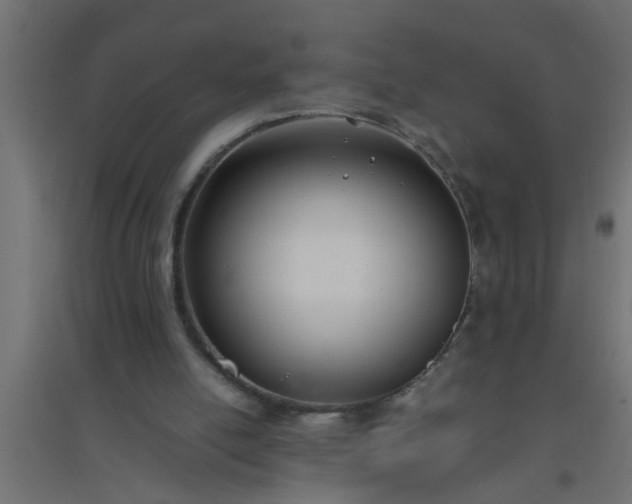 X0000094800054200711241432