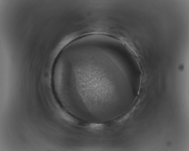 X0000094800055200711241432