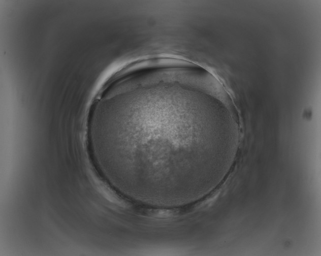 X0000094800056200711241432