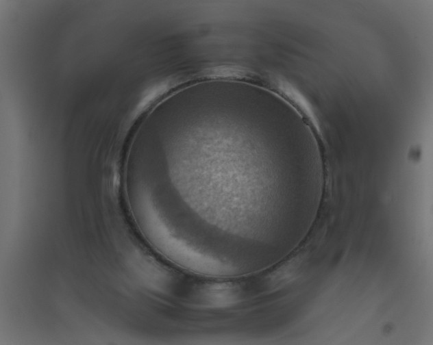 X0000094800059200711241432