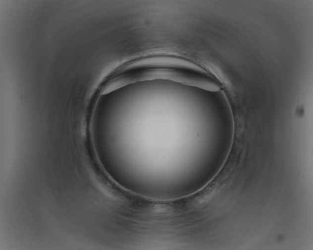 X0000094800060200711241432