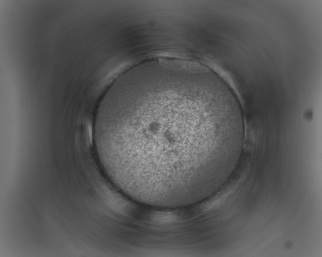X0000094800061200711241432