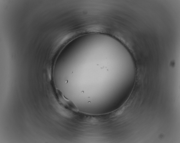 X0000094800062200711241432