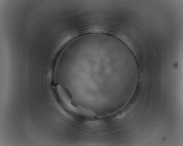 X0000094800063200711241433