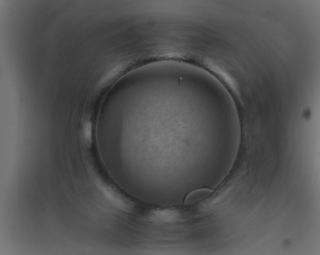 X0000094800067200711241433