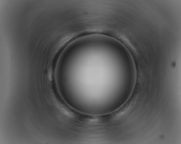 X0000094800068200711241433
