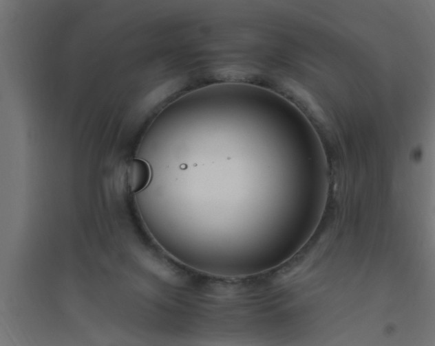 X0000094800071200711241433