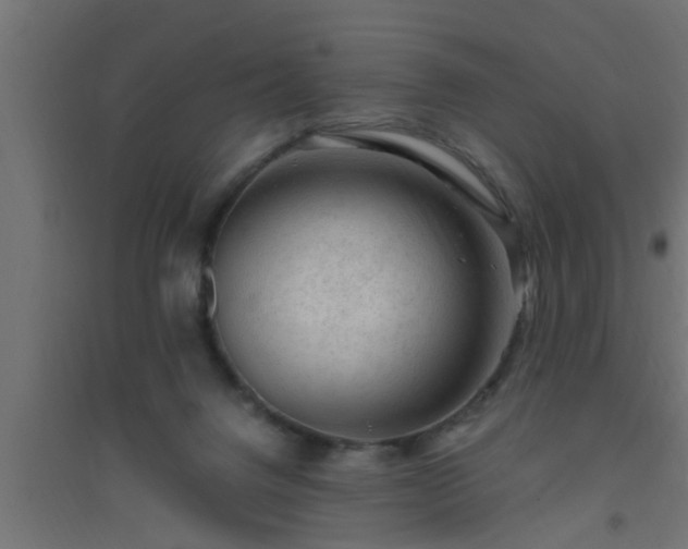X0000094800072200711241433