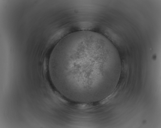 X0000094800074200711241433