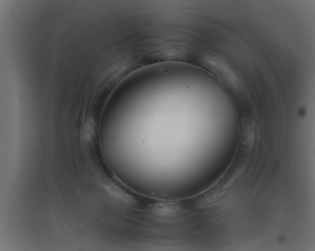 X0000094800077200711241433