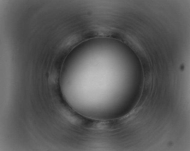 X0000094800078200711241433