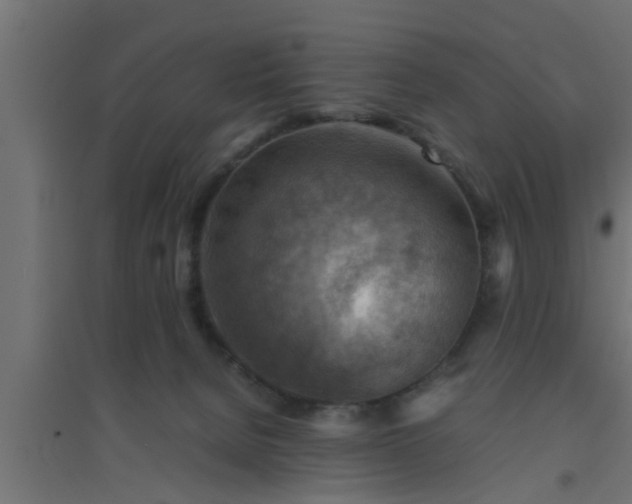 X0000094800080200711241433