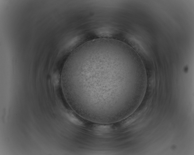 X0000094800081200711241433