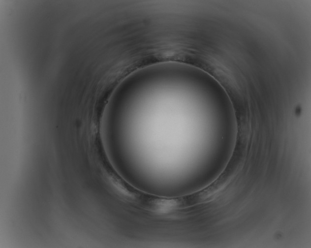 X0000094800085200711241433