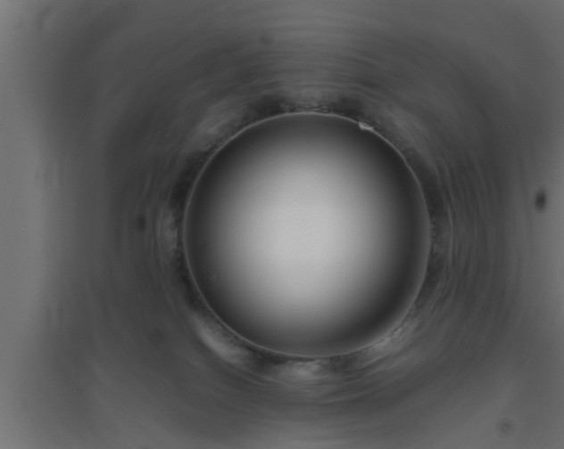 X0000094800086200711241433