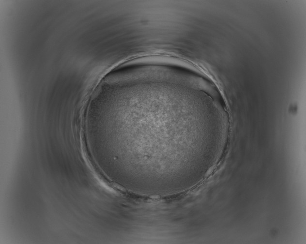 X0000094800097200711241432
