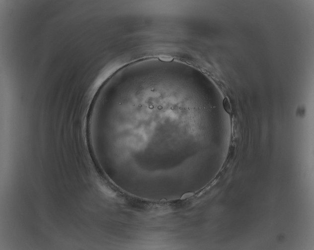 X0000094800099200711241432