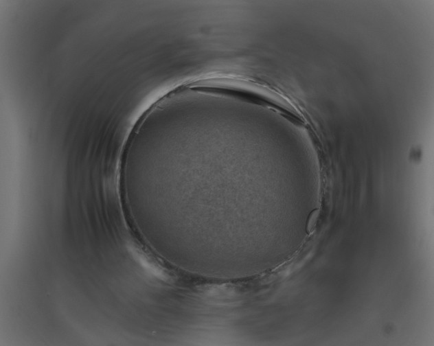 X0000094800100200711241432