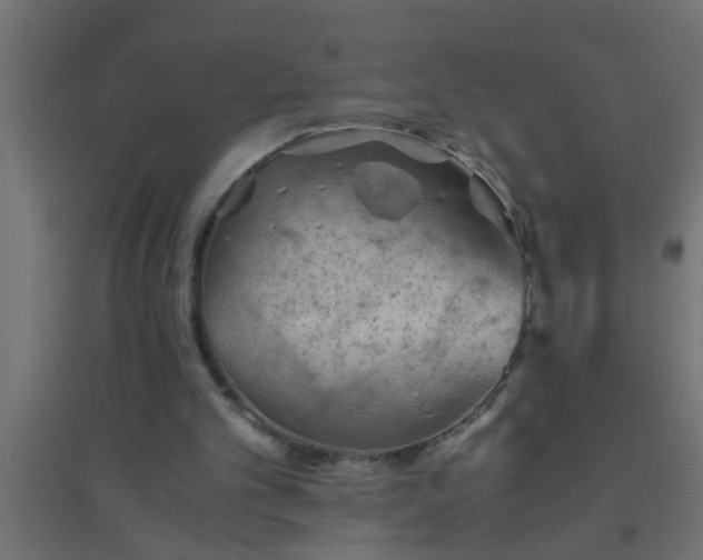 X0000094800101200711241432