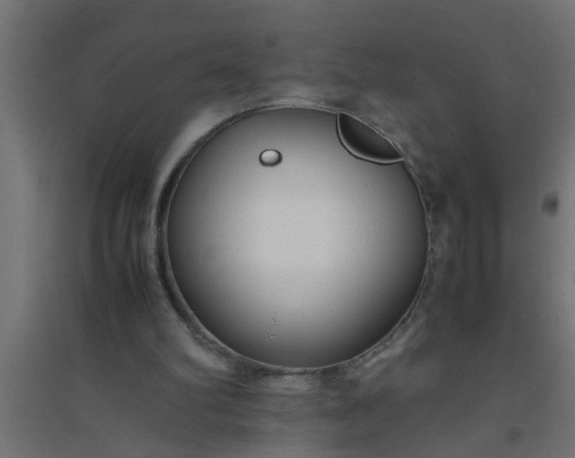 X0000094800102200711241432