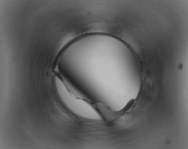 X0000094800108200711241432