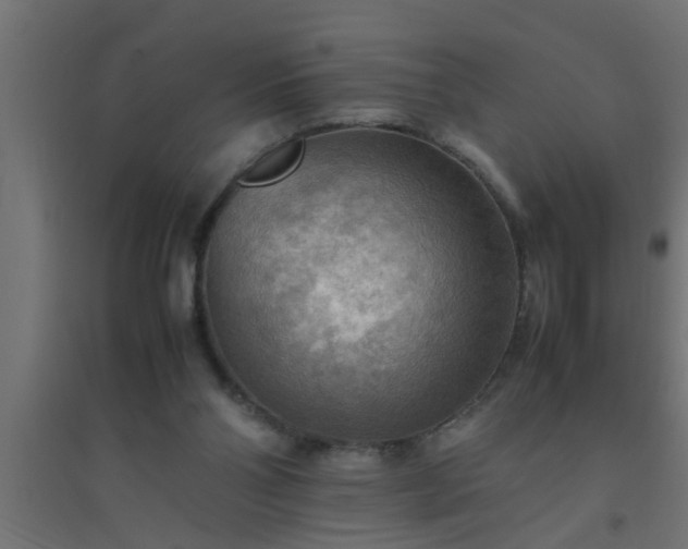X0000094800110200711241432