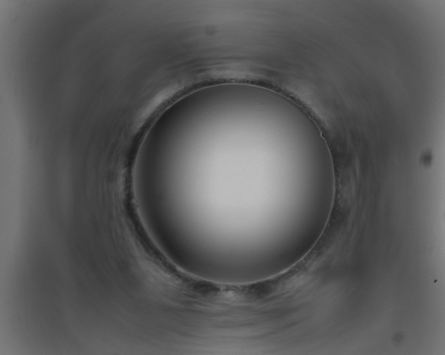 X0000094800111200711241432