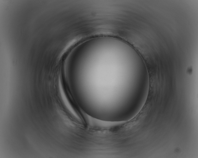 X0000094800112200711241432