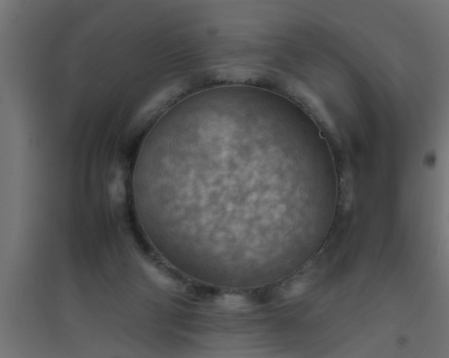 X0000094800114200711241432