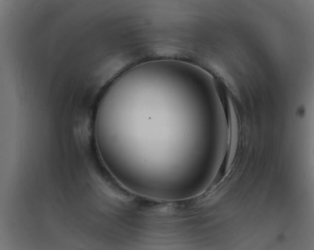 X0000094800116200711241432
