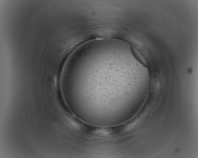 X0000094800117200711241432