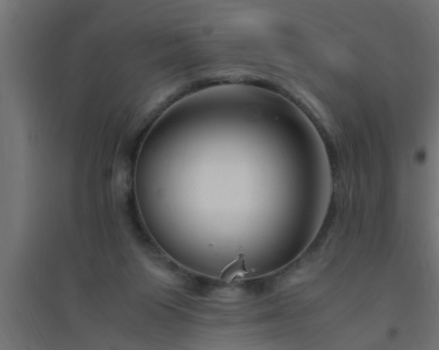 X0000094800119200711241432