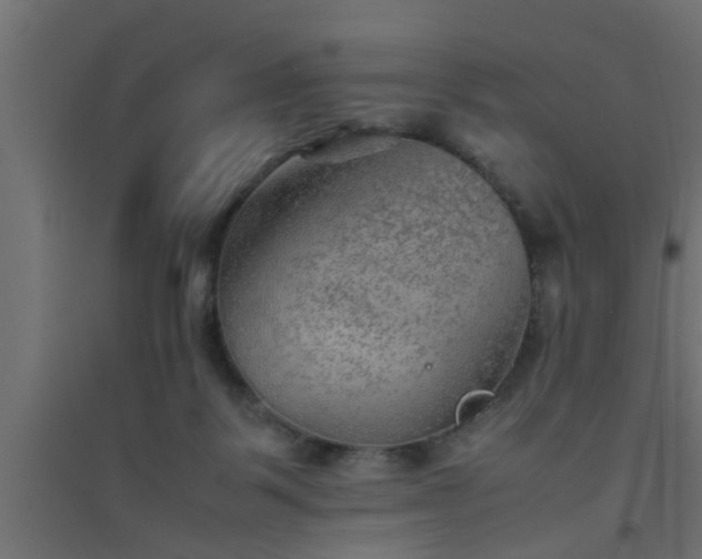 X0000094800123200711241432