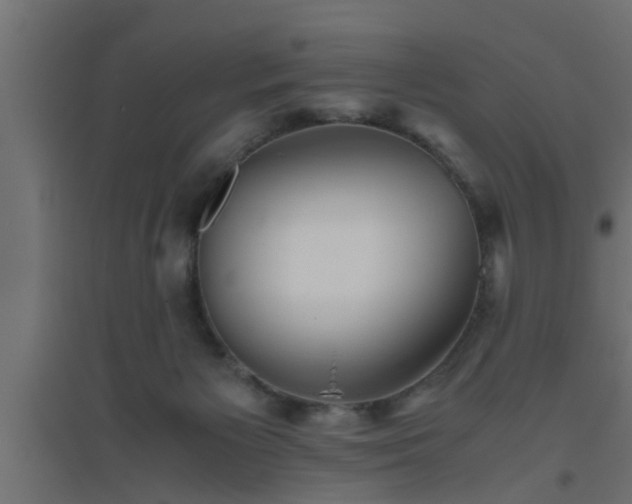 X0000094800125200711241432