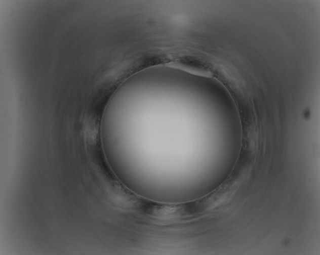 X0000094800129200711241432