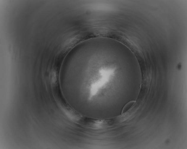 X0000094800130200711241432