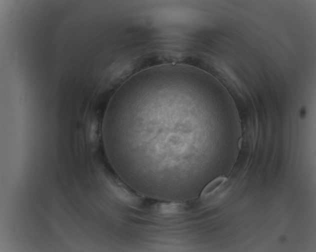 X0000094800134200711241432