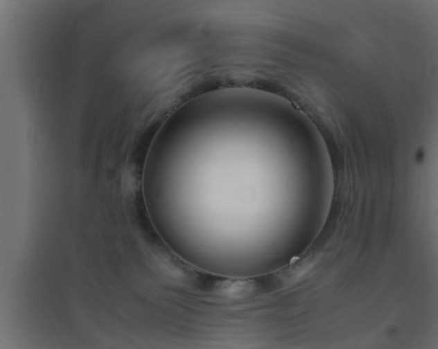 X0000094800135200711241432