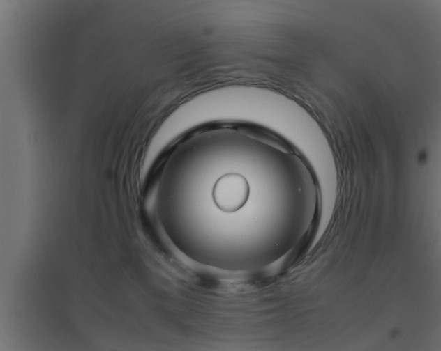 X0000094800137200711241432