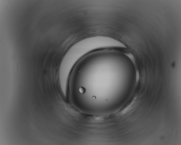 X0000094800140200711241432