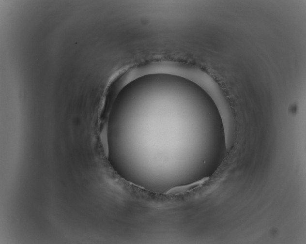 X0000094800144200711241432